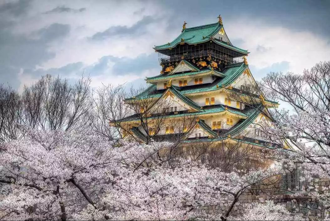 「新房」日本大阪黄金核心中央区全新楼盘——中央公馆