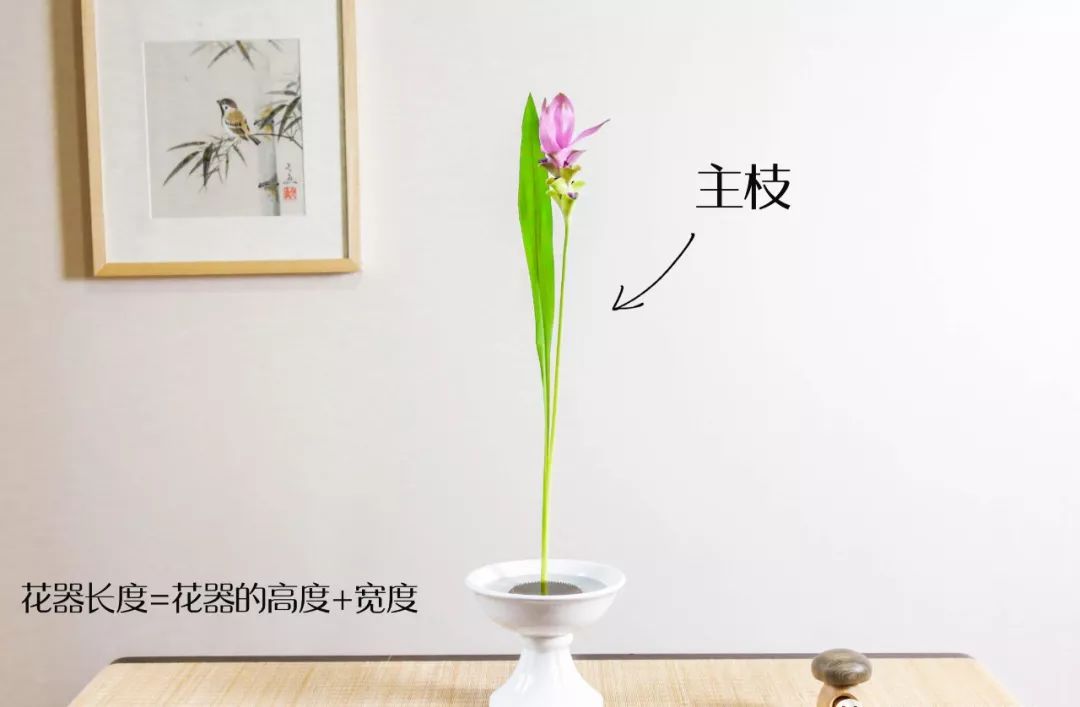 小原流花道国际标准教程,小流源花道入门教程视频