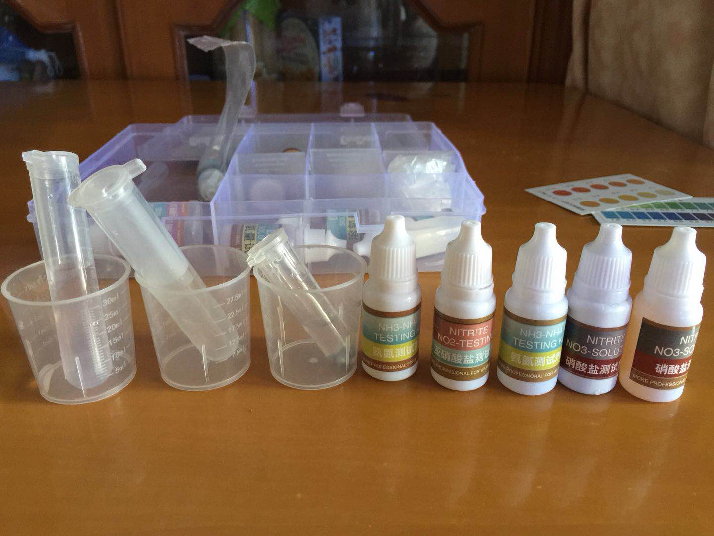 泰国斗鱼和绿萝一起养会死吗,怎么养水培绿萝才好看