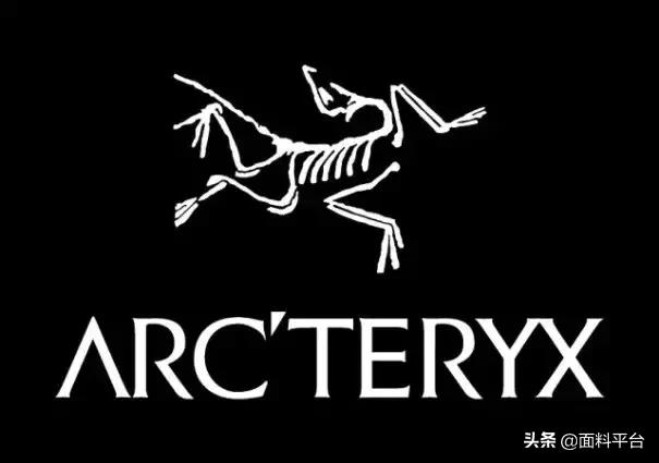 始祖鸟品牌服装排行榜前十名,始祖鸟二次销售