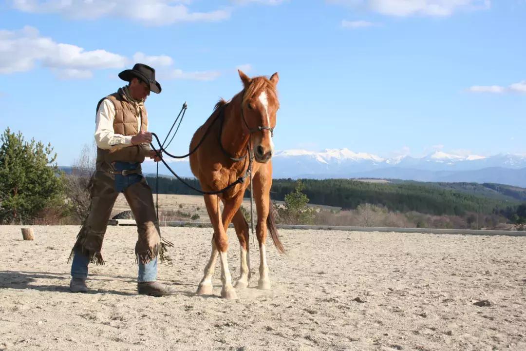 三分钟一字马教程,两小时驯马的全过程