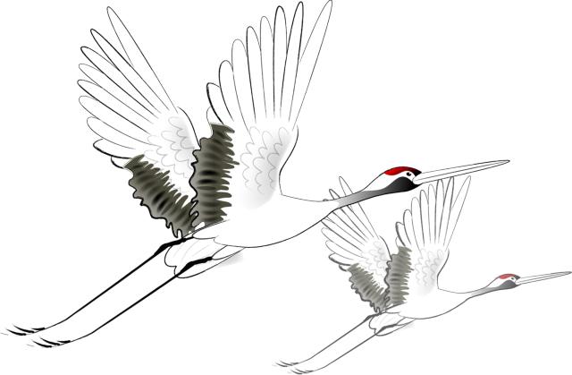 治疗更年期综合征的千古名方,国医大师张震擅长哪方面的疾病