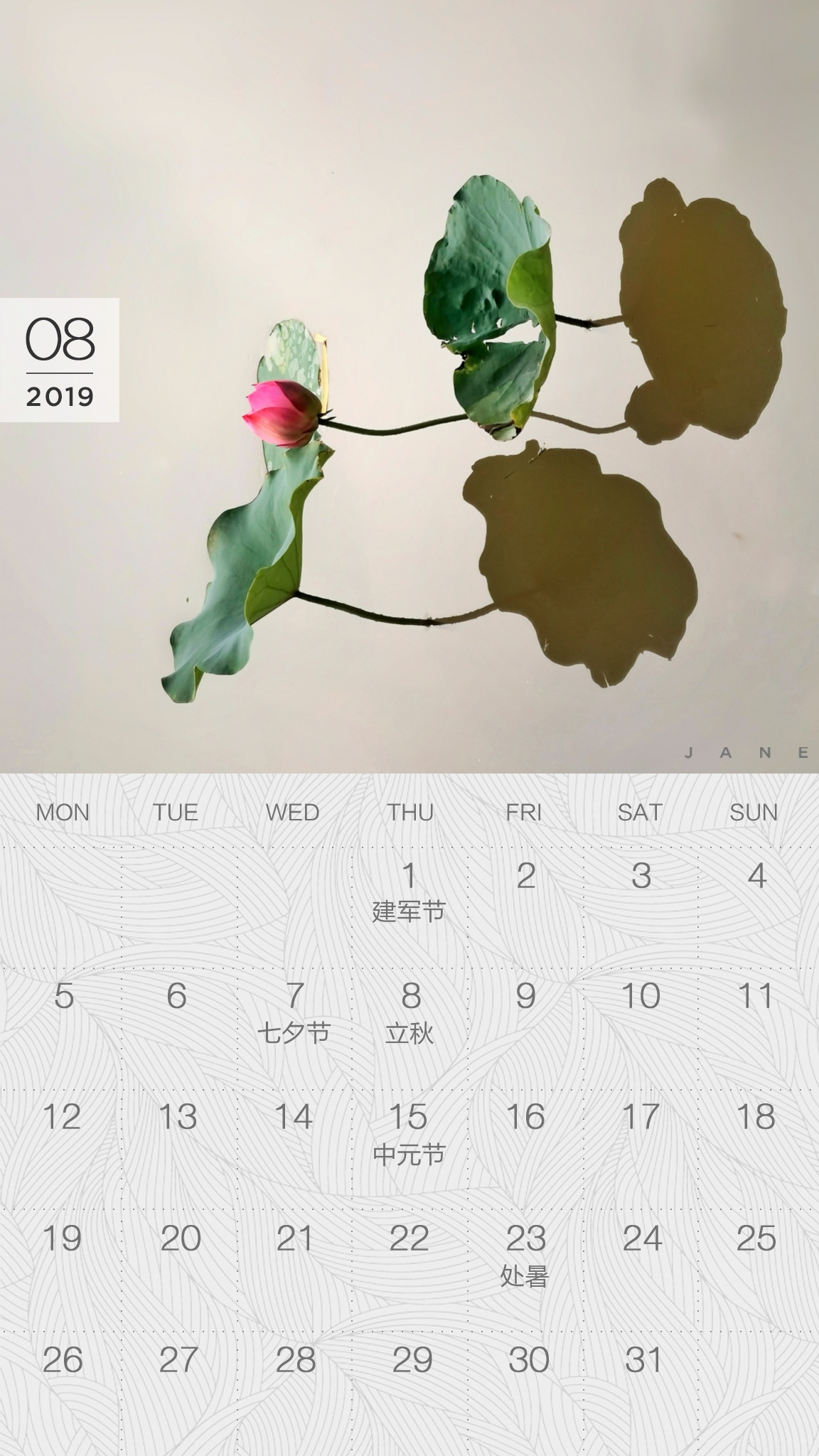 送你一张凉快动态壁纸,大暑送你清凉壁纸