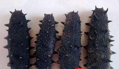 如何挑选干海参的正确方法,干海参有几种品种图片大全