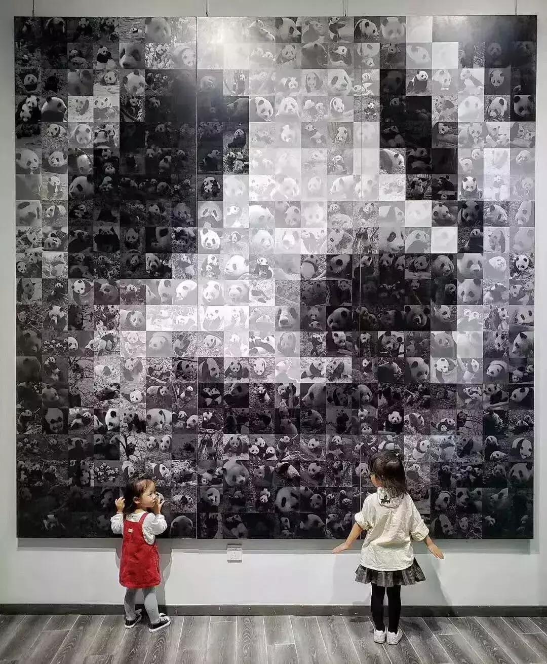 你才可爱你全家都可爱怎么回,你才可爱你全家都可爱出处