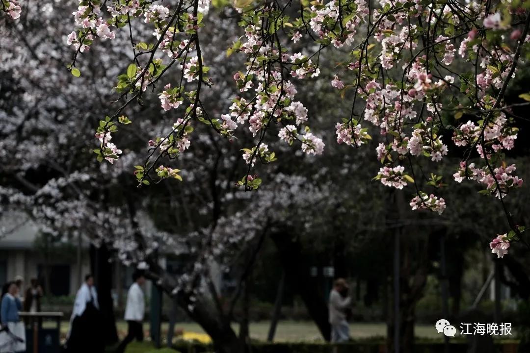 南通已经入春了吗,今年南通什么时候入春