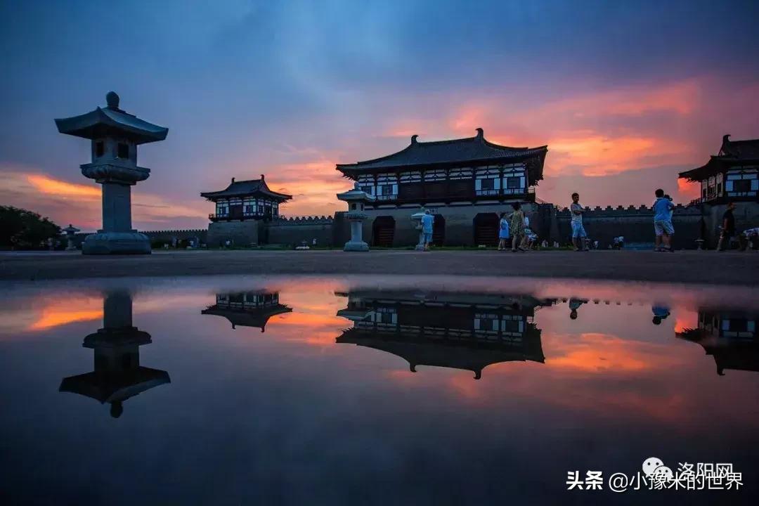 河南洛阳发布最新通知,洛阳牡丹花会向全世界发出邀请