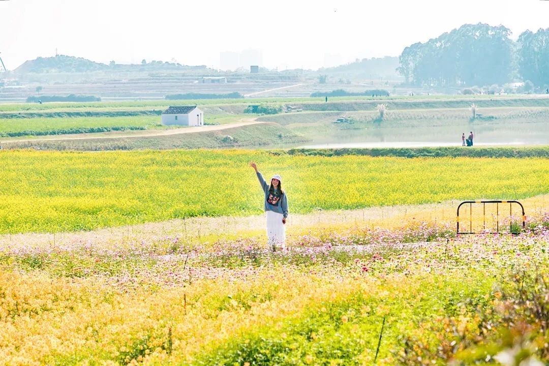 深圳周末浪漫好去处,深圳浪漫约会地点十个景点