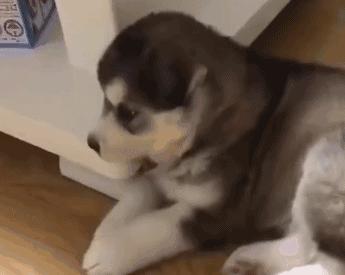 1699元性价比高的手机,1699性价比最高的手机