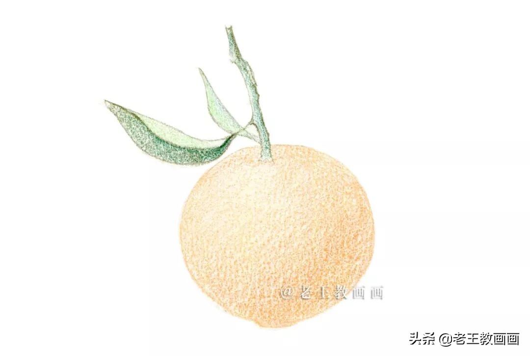 橘子彩铅手绘过程详解,超详细的彩铅橘子教程