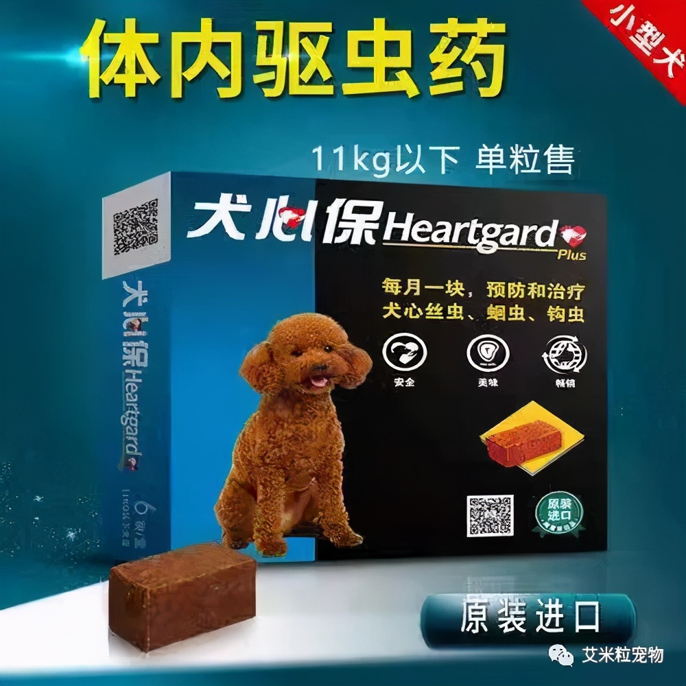 猫咪内驱虫的正确方法,狗狗驱虫和猫咪驱虫