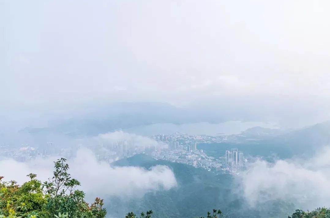 深圳值得去的地标,深圳值得去的景点排行榜