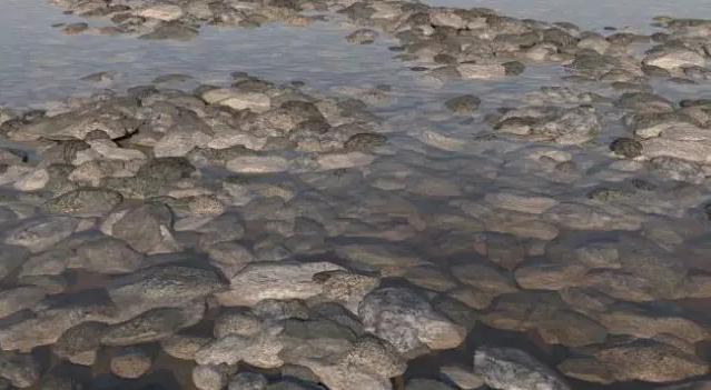 c4d的oc插件,c4d点成圆插件