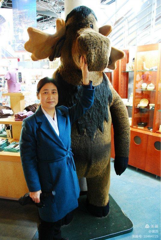 鐝嶇█鍔ㄧ墿澶у叏,浠跨湡姣涚粧鍔ㄧ墿鐙愮嫺