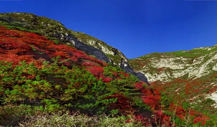 太原市城区2022重点工作,太原市最新五年发展规划
