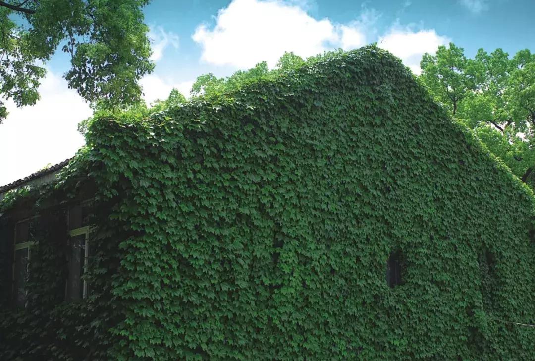 温州鹿城区最差的十所小学,整个温州地区最好的中学