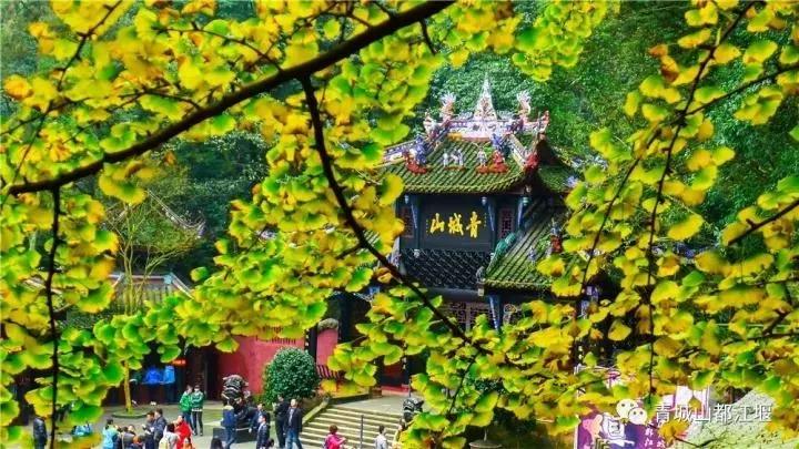 青城山熊猫谷都江堰一日游攻略,熊猫谷青城山都江堰一日游攻略