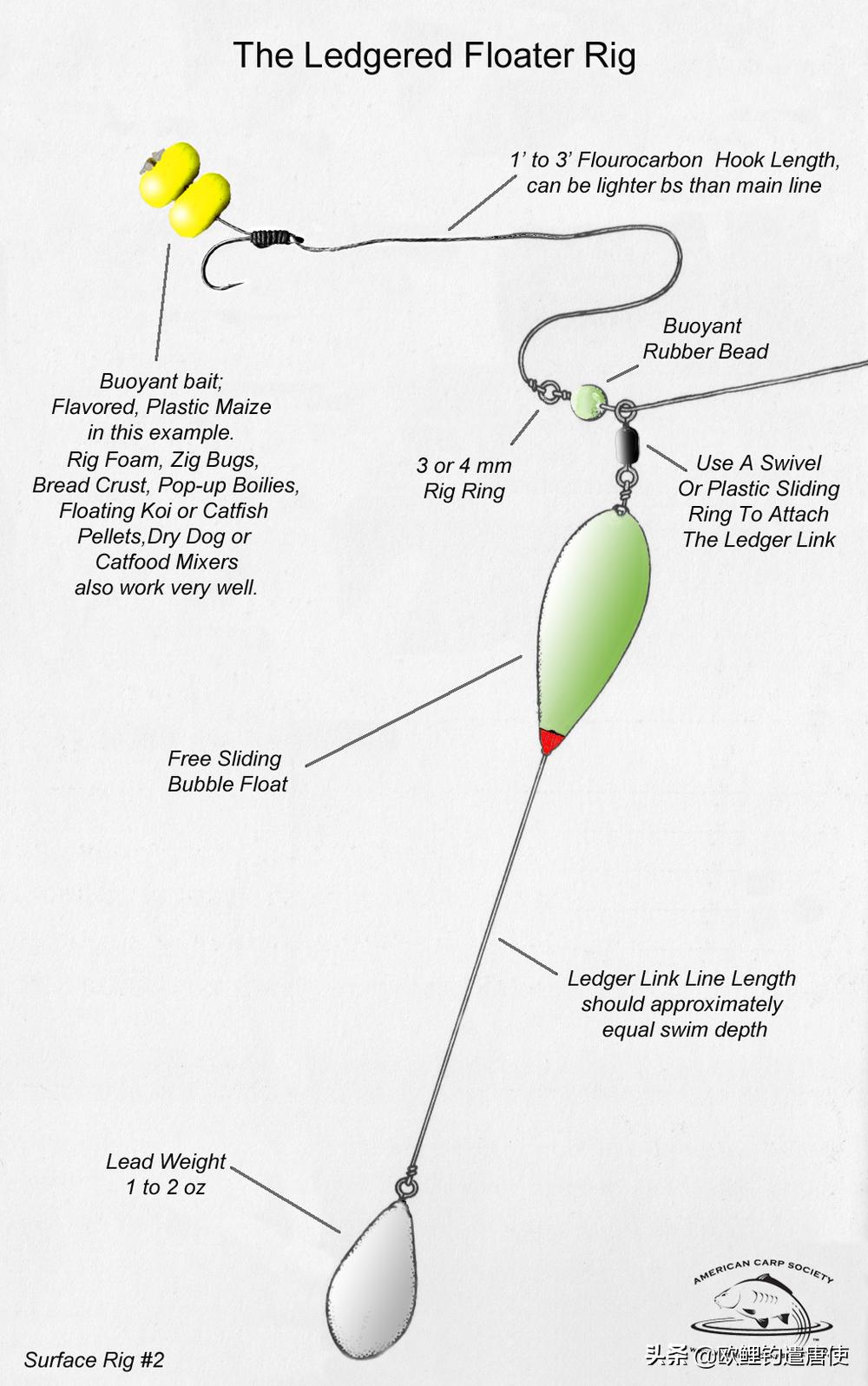 夏季下雨过后钓鱼应如何选择钓位,夏季垂钓这3个钓位上鱼超多