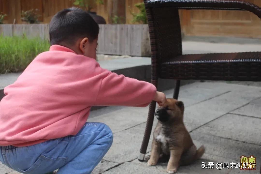 福州亲子游攻略民宿,福州附近二日一夜亲子旅游推荐