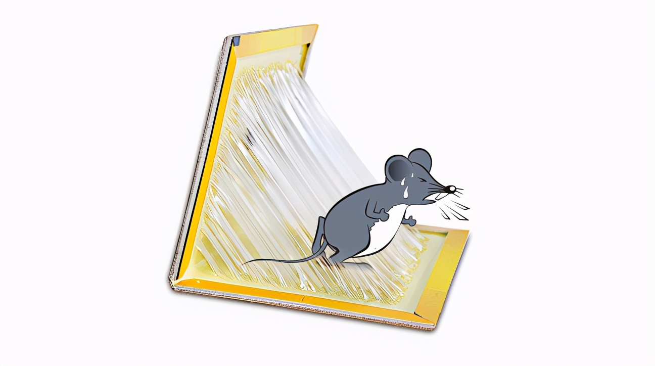 多只老鼠乱窜的视频,一大群老鼠在家里