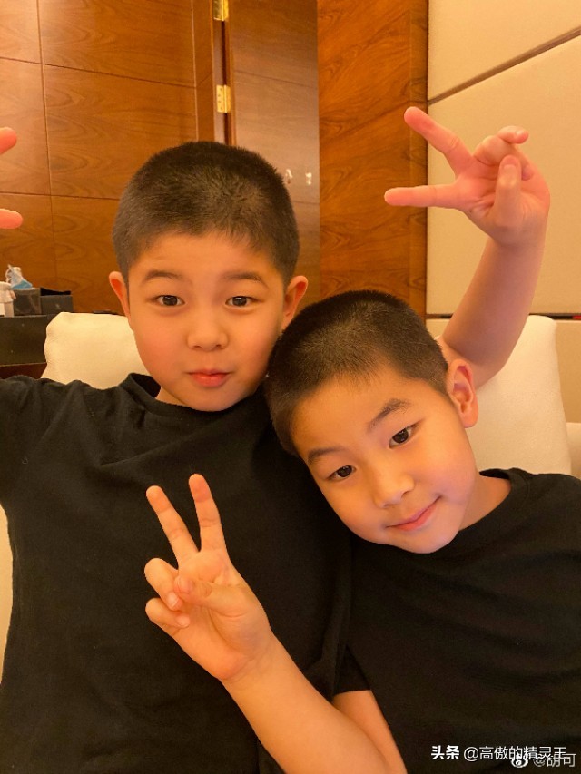 胡可晒小鱼儿垂涎猫粮,趴地上围观猫咪进食,网友提醒小心他偷吃