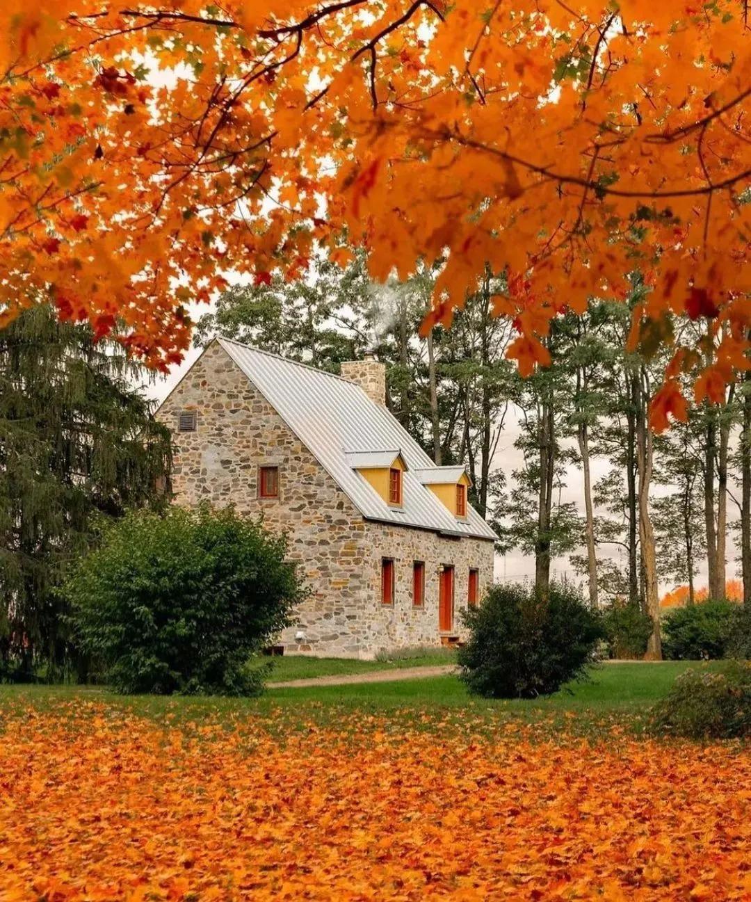 新手小白如何快速入门自媒体写作,自媒体新手怎么入门选什么平台