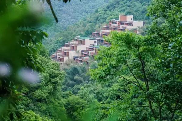 遗世独立的隐居酒店，大自然的馈赠——宁海安岚酒店