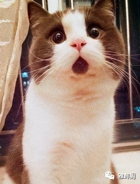 什么赚钱软件能赚钱,赚钱游戏真能赚钱吗