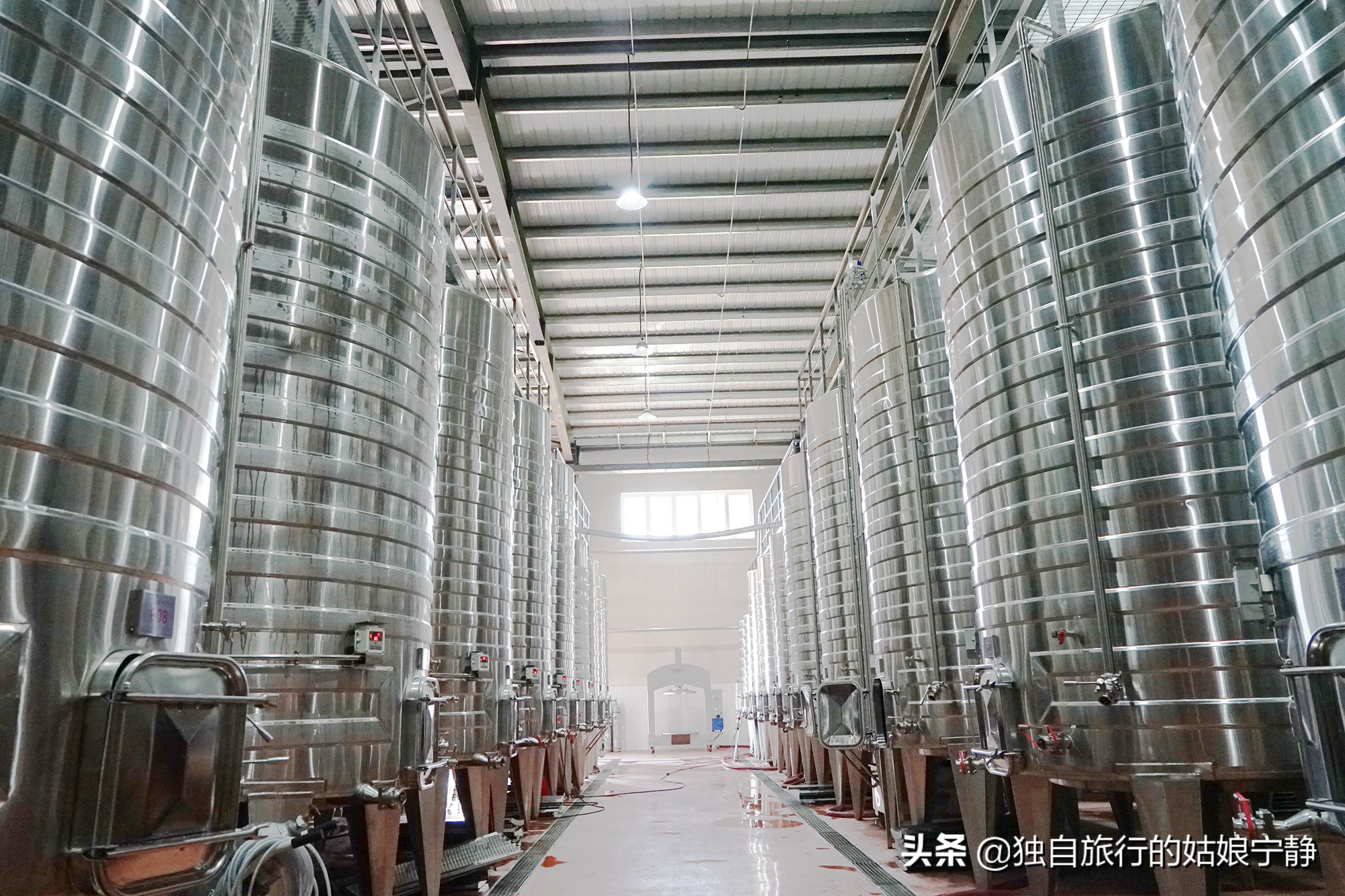 宁夏50大星级葡萄酒品牌酒庄排名,宁夏贺兰山东麓最佳葡萄酒排名