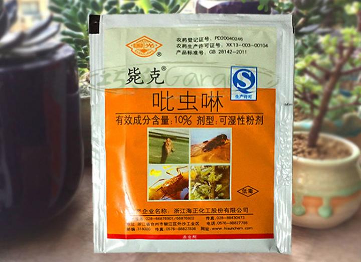 养花有小黑飞的最佳治愈方法,养花出现小黑飞怎么处理