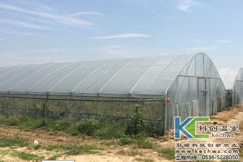 寿光第9代温室大棚设计,温室大棚设计专用软件