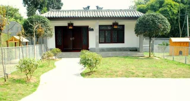 向往优宠好不好,向往优宠宠物怎么养