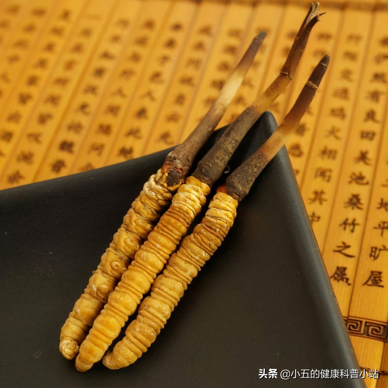 百令胶囊吃2粒和4粒有什么区别,百令胶囊是中医药吗