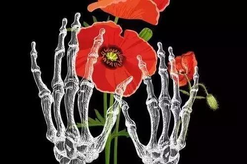 一个医生，一个护士，白天救人，晚上“自杀”