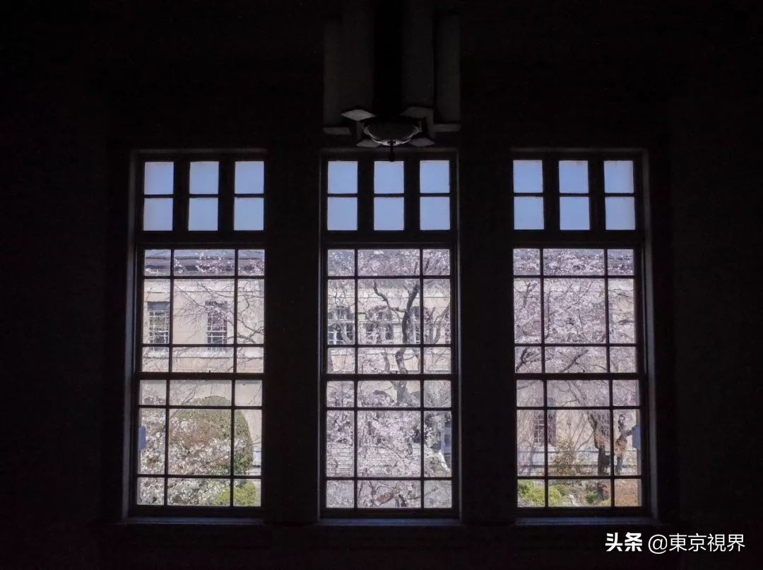 我在京都,攒下一整个春日的绝美樱色送给你。