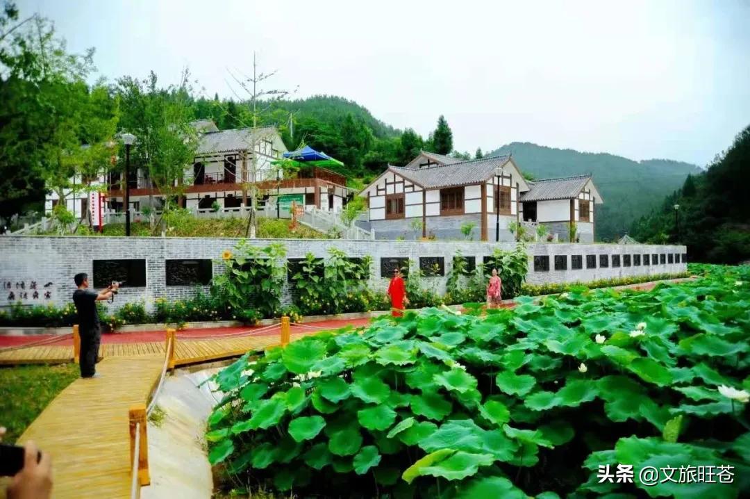 县域副中心有哪些,白水镇如何建设县域副中心