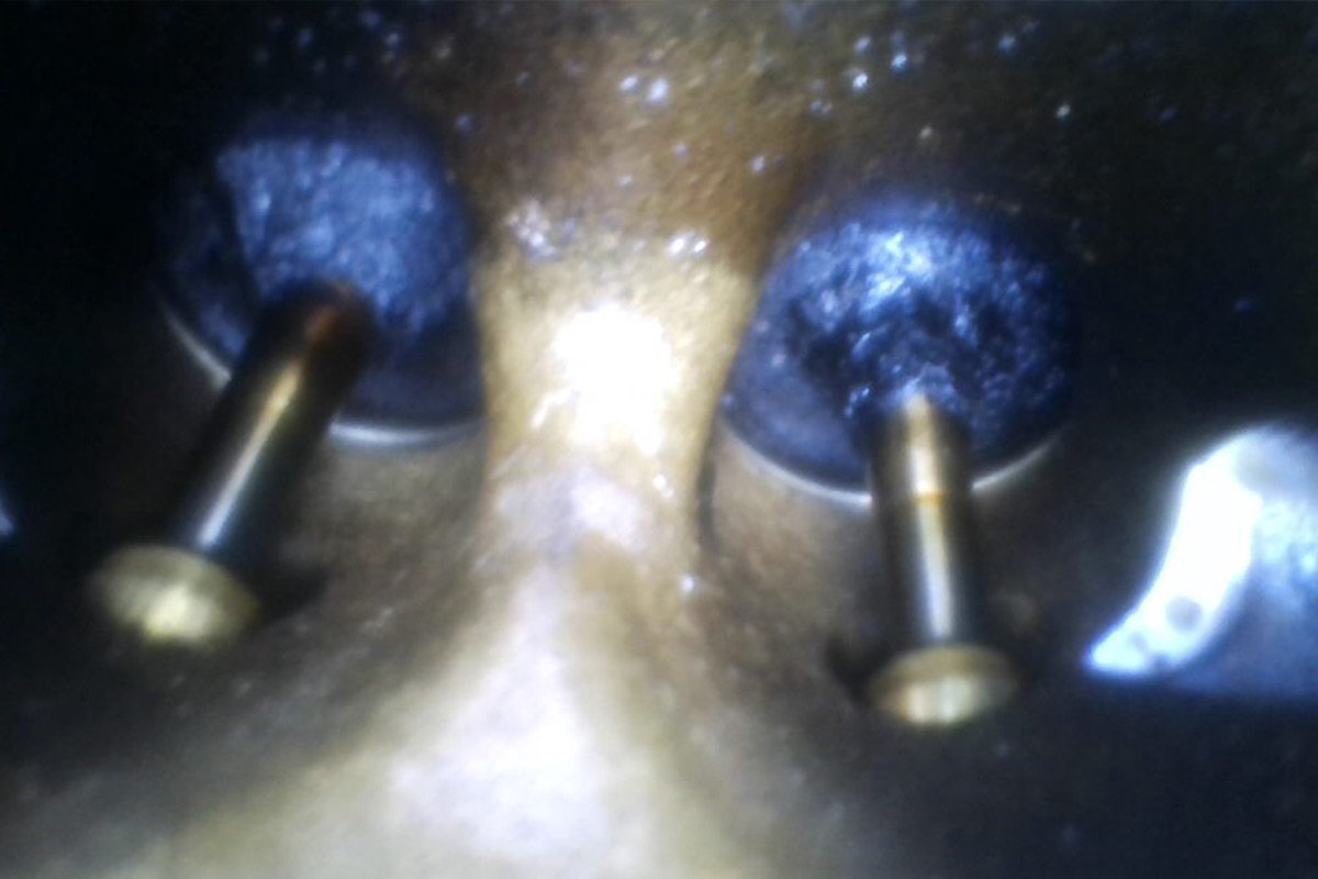 奥迪a4l需要加燃油宝吗,15款奥迪a4l推荐什么燃油宝