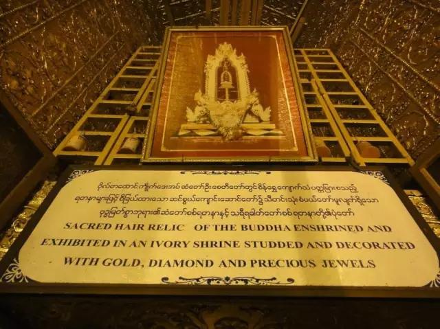 柚木缅甸哪个地方的柚木最好,缅甸最好的柚木产自哪里