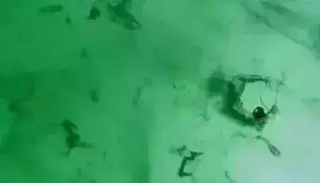 缅甸宝石翡翠,缅甸翡翠的八大原石介绍