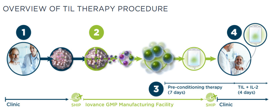 定了！首款针对实体瘤的细胞免疫疗法有望明年获得FDA批准上市