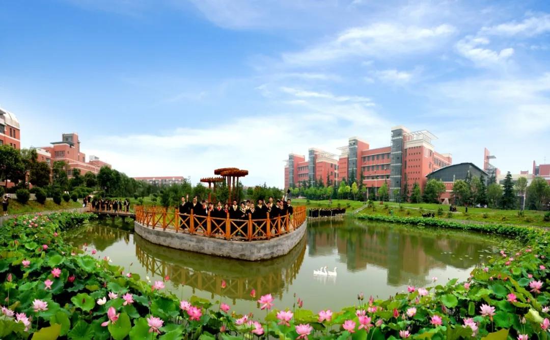 河南理工大学厉害吗,河南理工最好专业排名