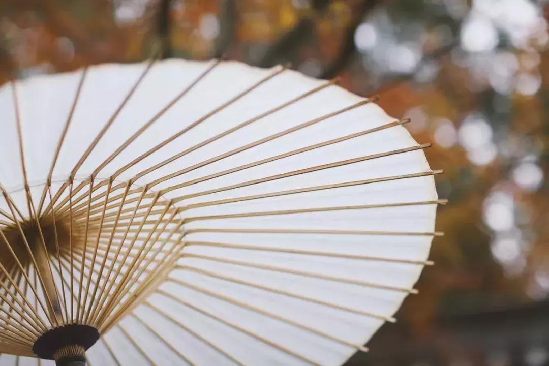 吃螃蟹必备的神奇香草，竟然有着这么美的名字