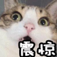 香港直邮化妆品没有正品吗,香港直邮化妆品真的假的