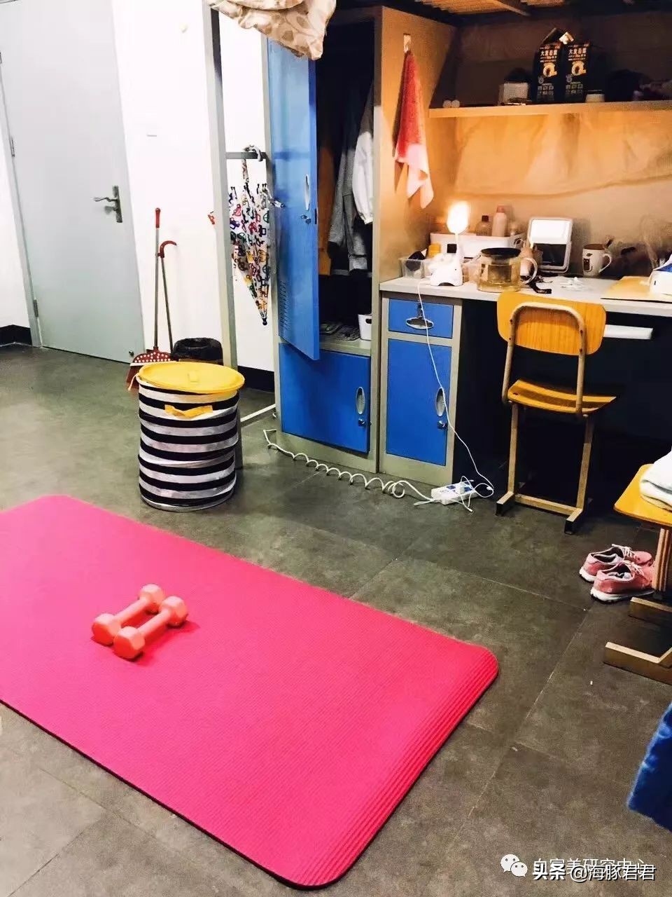 北京小公主靠吸猫血成百万大V,直播整容、大照骗、2年养死3只猫