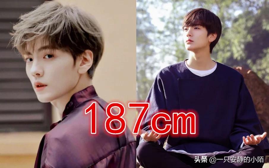 张新成和白敬亭为什么那么像,张新成和白敬亭照片对比