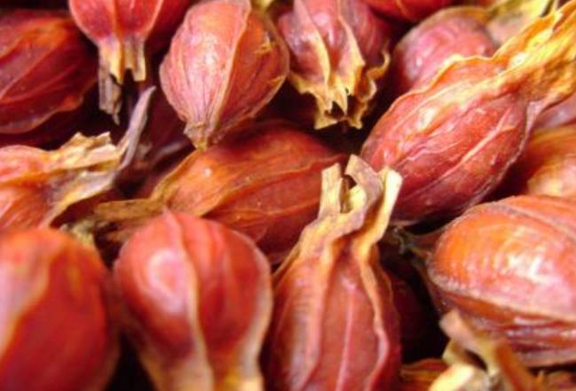 睡觉4个表现说明尿酸或超标,睡觉出现3种症状可能尿酸已超标