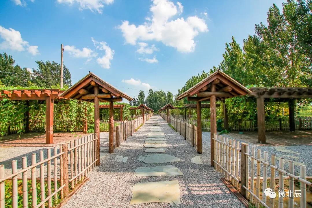 天津市乡村旅游示范片区,天津最好的乡村旅游区