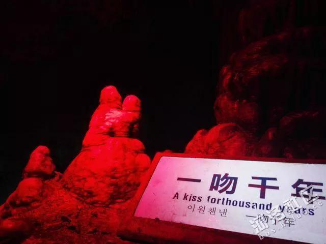 美丽的外表高尚的内心,美丽的外表下拥有一个善良的心