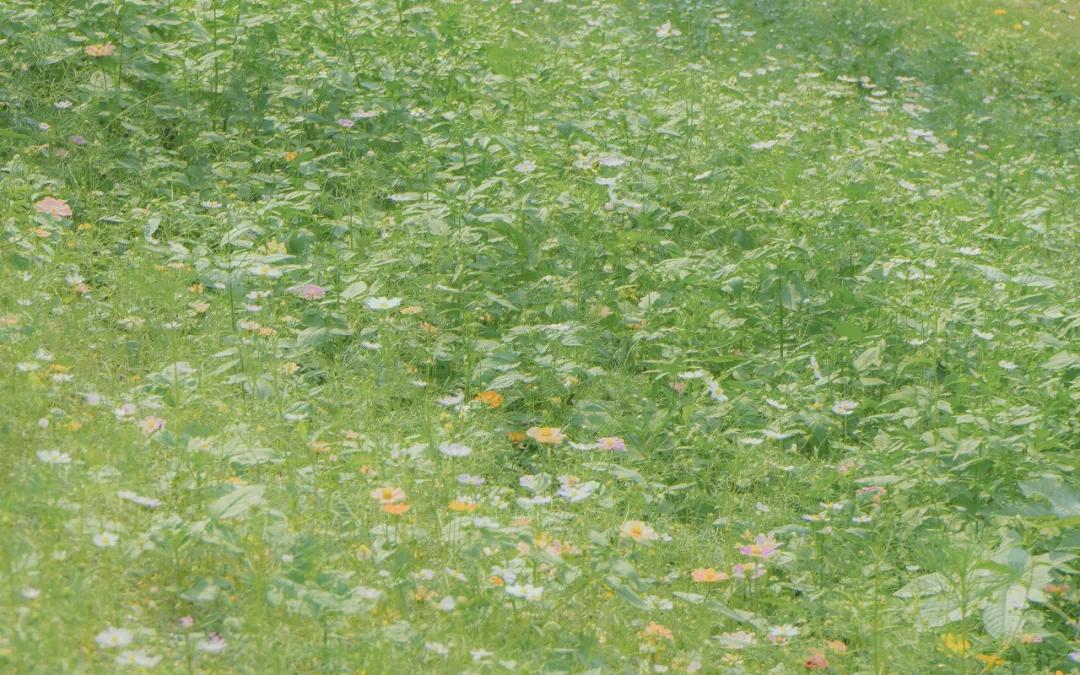 动动手指防痴呆,读读这些句子预防老年痴呆