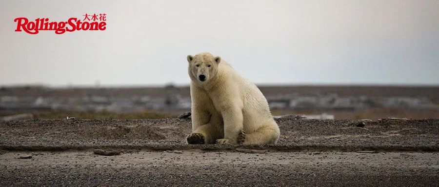 flexroom酒吧图片,flexroom酒吧是谁开的